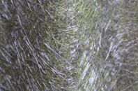 Arrathorne fibreglass roof work